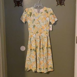 LuLaRoe Amelia